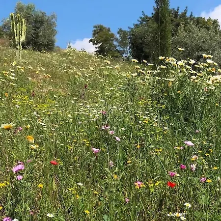 Penthouse Apartment, Cortijo Fruitful Hills マラガ