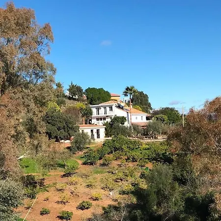 Penthouse Apartment, Cortijo Fruitful Hills マラガ