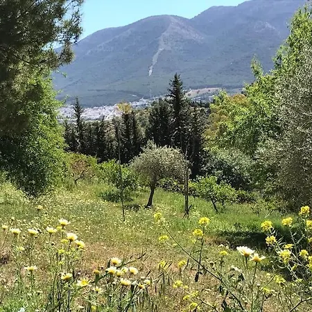 Апартаменты Penthouse Apartment, Cortijo Fruitful Hills *